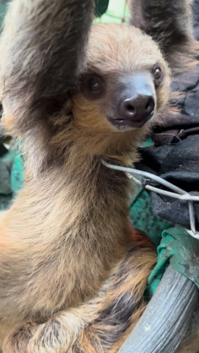 Striving to be Quint’s level of unbothered 🦥😌