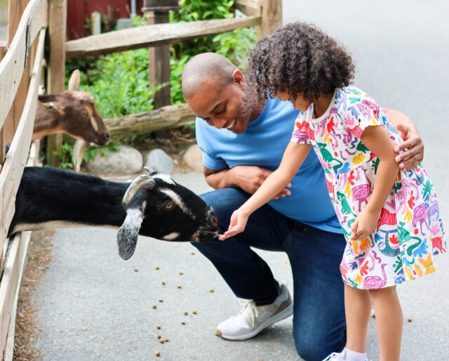 Happy Father's Day! 💙 All dads get FREE Zoo admission today, so treat the special father figure in your life to a day of adventure, laughter, and lasting family memories. 

No advance registration required- see you at the Zoo real soon! 🐐