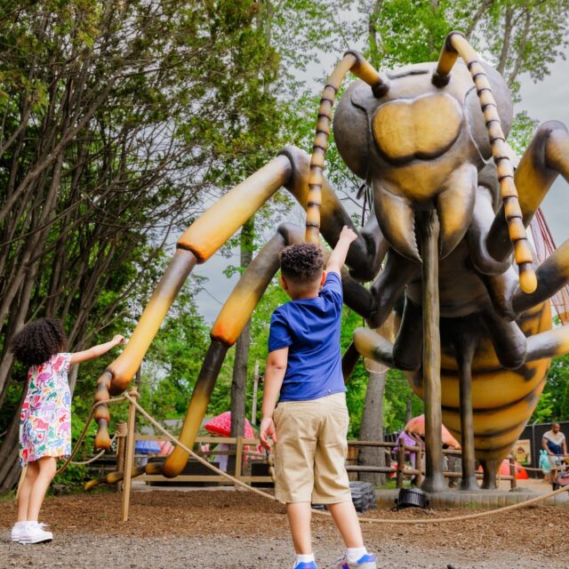 If you haven’t added A Bug’s World to your summer bucket list yet, consider this your sign! 🐜🐝✨

Experience the world of giant, larger-than-life animatronic insects. It’s the perfect way to burn off some energy, get outside, and sneak in a little hands-on learning while school is out. Come see what all the buzz is about and make some unforgettable summer memories! 

🎟️ Grab your tickets now at rwpzoo.org/bugs and plan your bug-tastic summer day out.