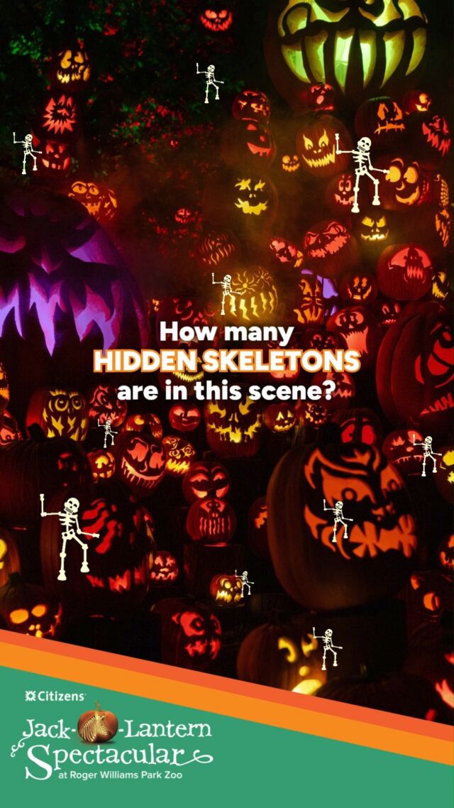 FINAL CHANCE to win! 💀🎃We’ve teamed up with @citizensbank  one last time to give away TWO 4-packs of tickets to the Jack-O-Lantern Spectacular. Hunt down all the hidden skeletons in this photo and drop your final answer in the comments below, and you just might win the ultimate spooky night out!

⚠ No purchase necessary. This promotion is in no way sponsored, endorsed or administered by, or associated with Instagram. Two lucky winners with the correct answer will be chosen at random each week on Wednesday. We will never ask for any personal/financial information or to click external links. Please beware of potential scam.